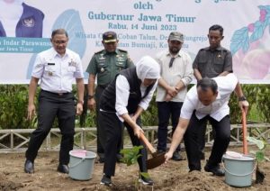 Empat Desa di Kota Batu Jadi Kawasan Perdesaan Agroforestri Kopi