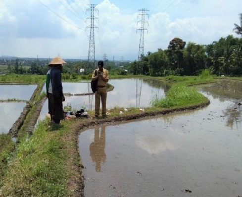 Pemkot Malang Sewakan Aset Tanah untuk Pertanian