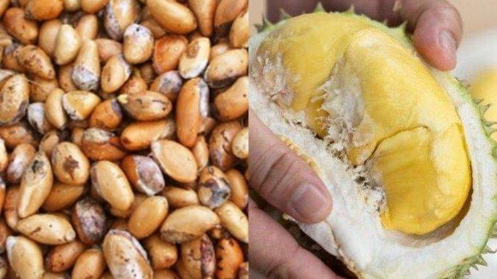 Biji Durian Baik untuk Kesehatan, Ini 5 Manfaatnya