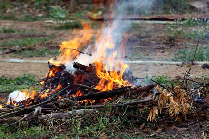 Bakar Sampah dan Kualitas Udara, Ini Kata DLH Kota Malang