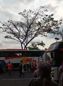 Penerbangan Citilink Pindah dari Abd Saleh ke Juanda