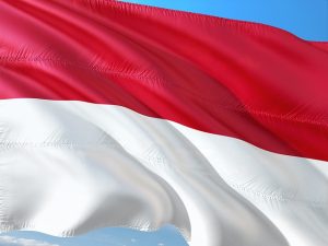 Baru 321 Daerah Kirim Laporan, Kemendagri Evaluasi Program 10 Juta Bendera Merah Putih