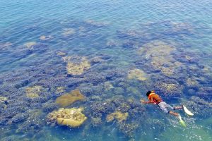 Pesona Gili Iyang Pulau Oksigen di Madura