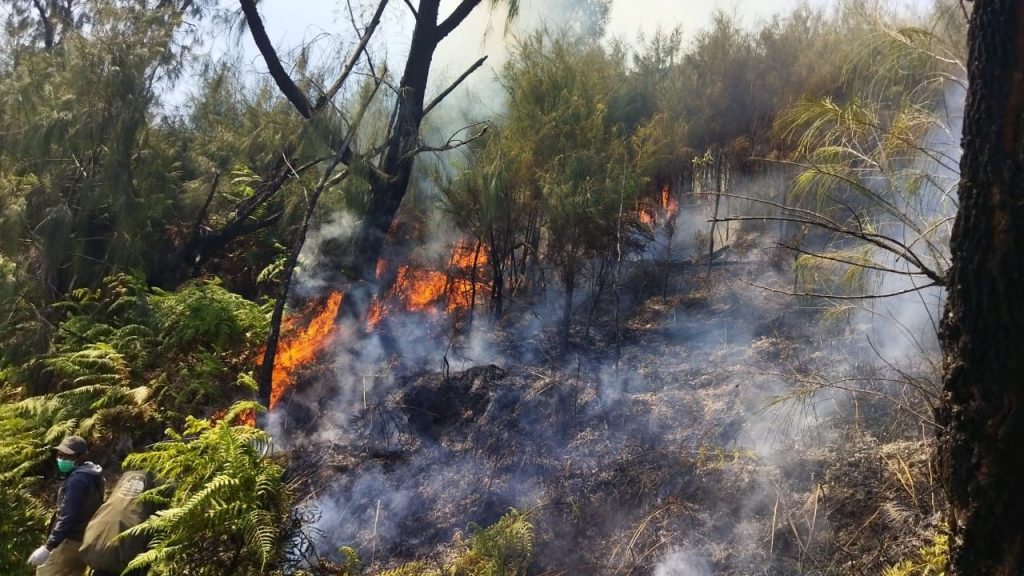 Kebakaran Hutan Gunung Arjuno Meluas, Kota Batu Terbitkan SK Tanggap Darurat