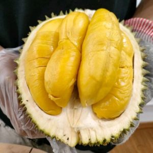 Aroma Durian Menyengat, Begini Penjelasan Ilmiahnya