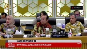 Pemerintah Impor Beras 2 Juta Ton, Ini Alasannya