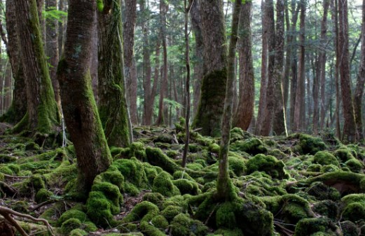 Kota Paling Angker di Dunia, Berani Uji Nyali di Sini?