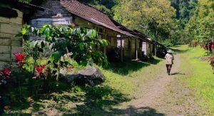 Kampung Kertoembo: Dihuni 4 KK, Durasi Matahari 5 Jam/Hari