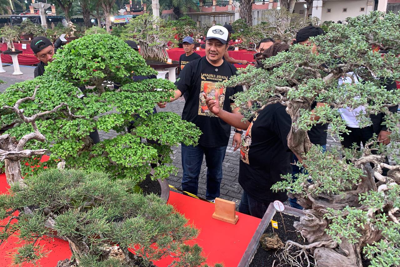 Bacabup Kediri Deny Widyanarko Apresiasi Kontes Bonsai Nasional