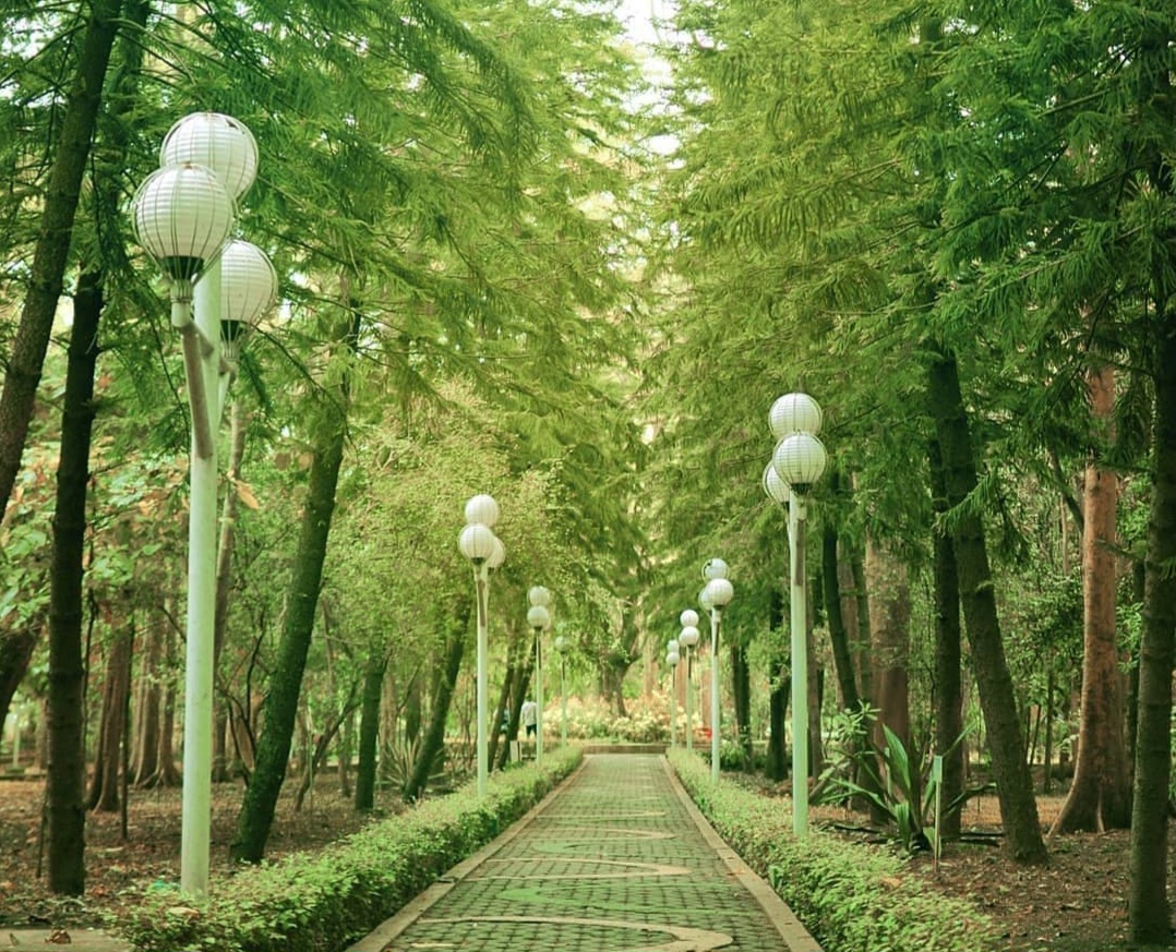 DLH Gagas Percantik Hutan Kota Malabar dengan Jembatan Kaca