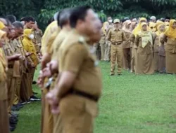 Jangan Lupa, Hari Ini Pendaftaran CPNS Dibuka