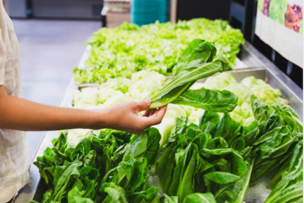 Sayur Organik Lebih Sehat? Berikut Penjelasan Ahli Gizi