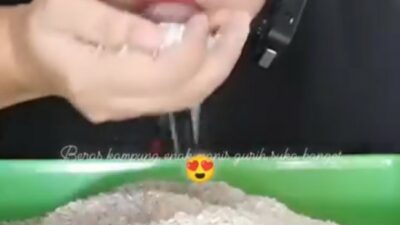 Seorang Ibu Makan Beras Mentah Lagi Viral, Ahli Gizi Beber Bahayanya