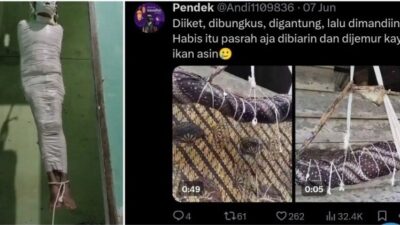 Dugaan Kasus “Gilang Bungkus” Jilid 2 Hebohkan Media Sosial X