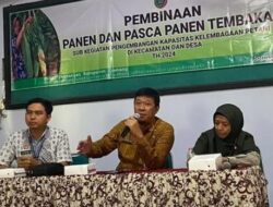 Petani Tembakau Jombang Didukung DBHCHT untuk Tingkatkan Kualitas Tanam