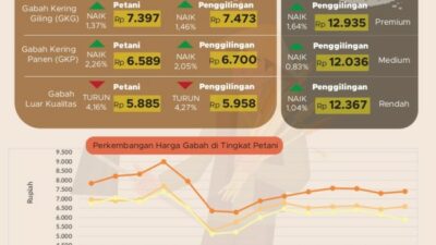 Harga Gabah Petani dan Beras Penggilingan di Jatim Naik