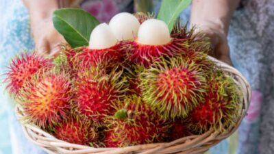 Rambutan Disebut Picu Batuk,  Berikut Penjelasan Dokter