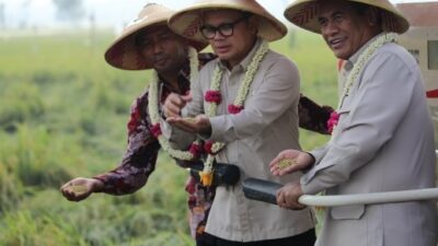 Target Produksi Beras Jatim, Mentan: 2 Juta Ton