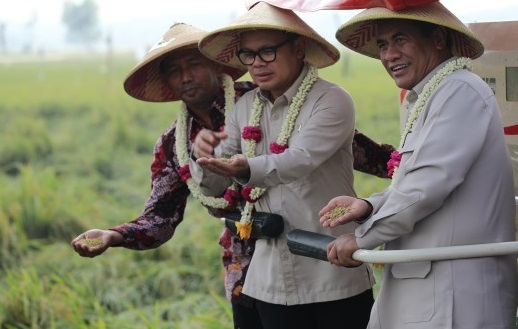 Target Produksi Beras Jatim, Mentan: 2 Juta Ton