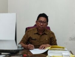 DLH Kota Malang: 15 Kawasan Rawan Pohon Tumbang