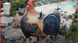 Unik, Filipina Bangun Hotel Berbentuk Ayam Jantan