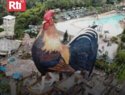 Unik, Filipina Bangun Hotel Berbentuk Ayam Jantan