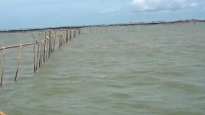 Pembangunan Pagar Laut Ilegal di Tangerang, 2 Pelaku Didenda Rp48 Miliar