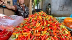 Pedasnya Awal Ramadan: Harga Cabai Rawit Meroket, Tembus Rp100 Ribu