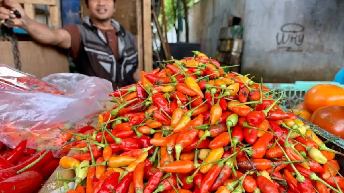 Pedasnya Awal Ramadan: Harga Cabai Rawit Meroket, Tembus Rp100 Ribu