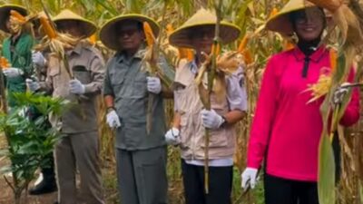 Ketua DPRD Blitar: Jagung Bukan Sekadar Pangan, tapi Masa Depan Pertanian