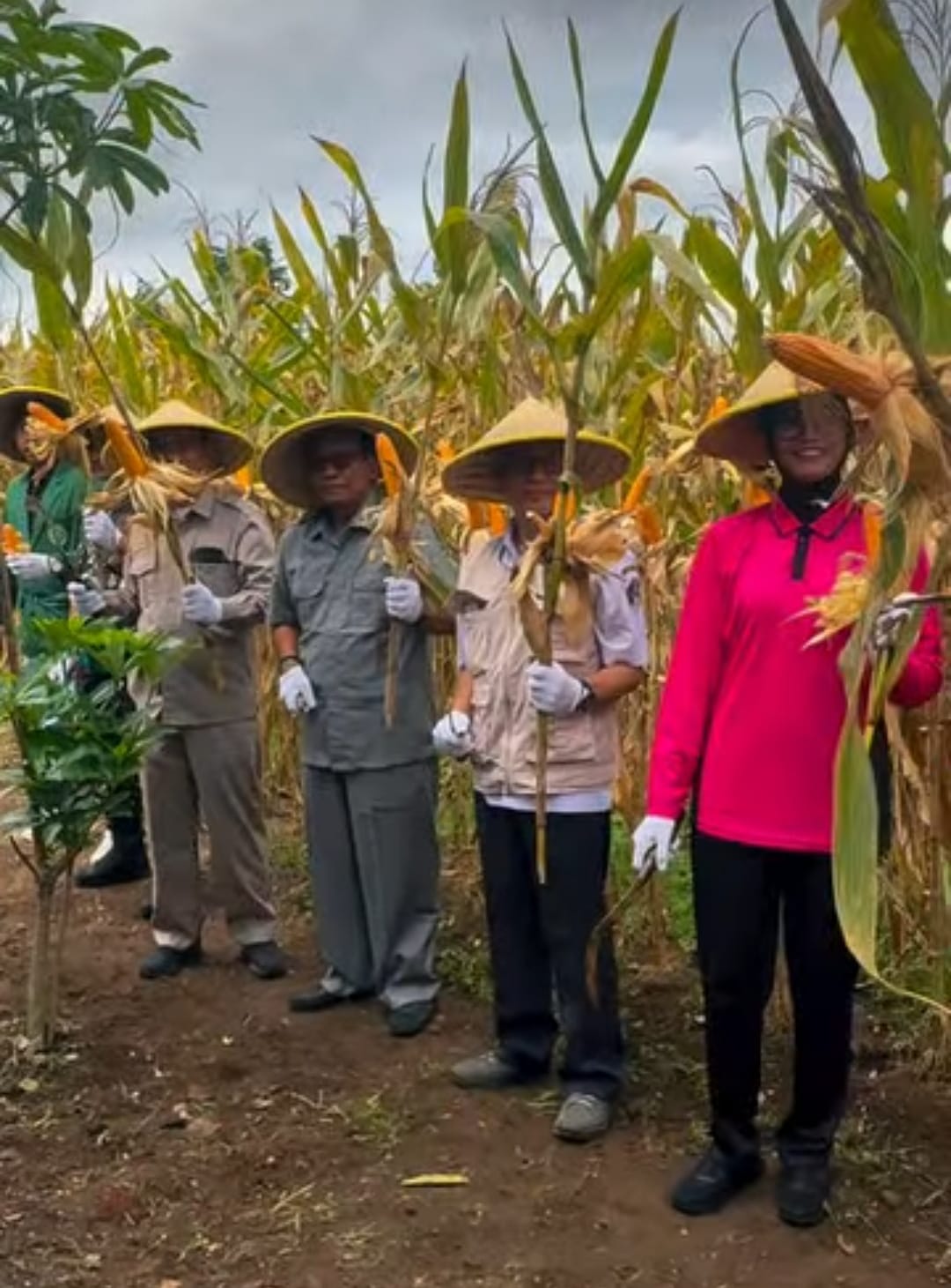 Ketua DPRD Blitar: Jagung Bukan Sekadar Pangan, tapi Masa Depan Pertanian