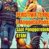 Skandal Sabung Ayam di Lampung: Aliran Dana Diduga Mengalir ke Oknum Polisi dan TNI