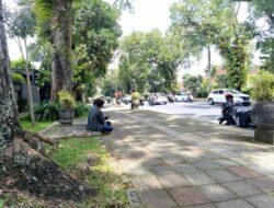 Bangku-Bangku Jalan Ijen Menghilang, Ini Penjelasan DLH Kota Malang