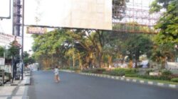 DLH Kota Malang Siapkan Anggaran Pohon Imbas Proyek Drainase Soehat