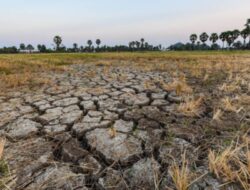 Puncak Kemarau 2025 Diperkirakan Agustus, Ini Daerah Paling Awal Kering