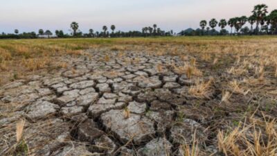 Puncak Kemarau 2025 Diperkirakan Agustus, Ini Daerah Paling Awal Kering