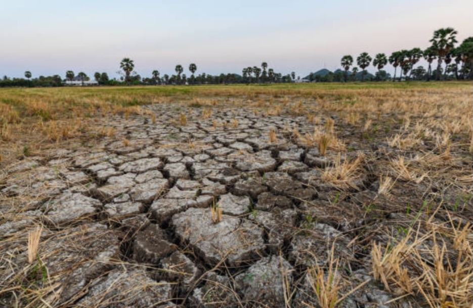 Puncak Kemarau 2025 Diperkirakan Agustus, Ini Daerah Paling Awal Kering