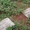 Makam Hewan di Jantung Kota Malang: Ratusan Nisan Muncul di Lahan Kosong