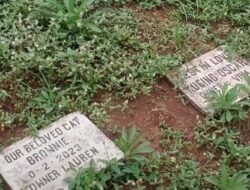 Makam Hewan di Jantung Kota Malang: Ratusan Nisan Muncul di Lahan Kosong