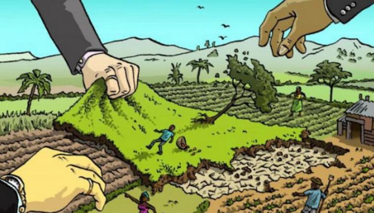 Ironi Hukum Lahan Jember: Notaris Dibui, Tanah Sukartini Terancam Hilang