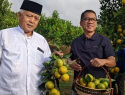 Dari Kebun ke Pabrik: Desa Kucur Malang Disiapkan Jadi Pusat Hilirisasi Jeruk Nasional