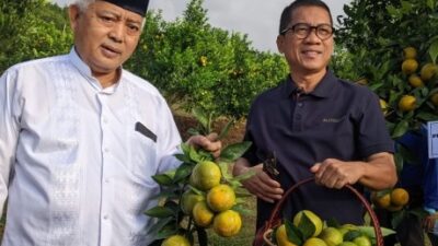 Dari Kebun ke Pabrik: Desa Kucur Malang Disiapkan Jadi Pusat Hilirisasi Jeruk Nasional