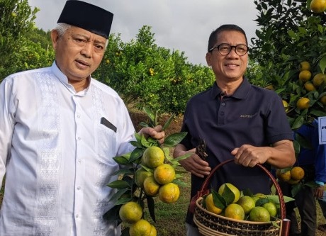 Dari Kebun ke Pabrik: Desa Kucur Malang Disiapkan Jadi Pusat Hilirisasi Jeruk Nasional