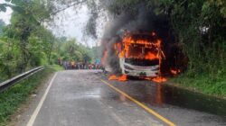 Bus Pahala Kencana Terbakar di Bangkalan, Ratusan Rokok Ilegal Terbongkar dari Bagasi