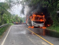 Bus Pahala Kencana Terbakar di Bangkalan, Ratusan Rokok Ilegal Terbongkar dari Bagasi