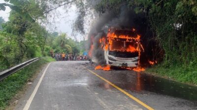 Bus Pahala Kencana Terbakar di Bangkalan, Ratusan Rokok Ilegal Terbongkar dari Bagasi