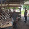 Terekam CCTV: Maling Santai Gondol Domba di Jombang