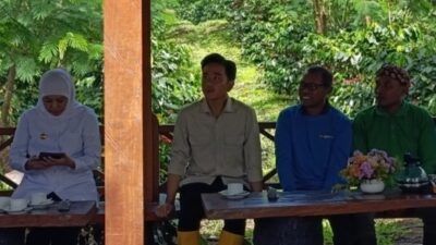 Sinyal dari Ijen: Gibran Turun Gunung, Peta Jalan Baru Kopi Nusantara Digelar