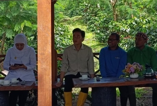 Sinyal dari Ijen: Gibran Turun Gunung, Peta Jalan Baru Kopi Nusantara Digelar