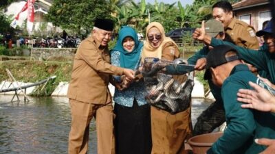 Revolusi Kolam Desa: Nila Kabupaten Malang Tak Cuma Lawan Stunting, Tembus Pasar Belanda